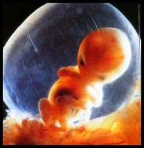 Forced Abortion Prevalent in Authoritarian Southwest China