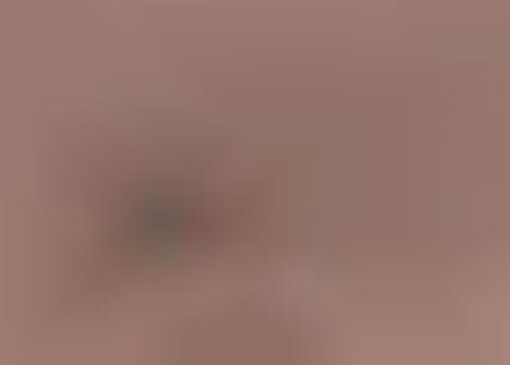 Mexico Participates in Worlds Largest Naked Photo Shoot