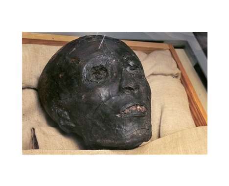 12 Magnificent Mummies