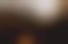 Wonderland: Trend Hunter Fun Day