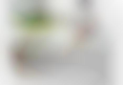 Beloved Kick Facelifts