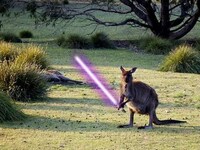 Animals With Lightsabers Image 2