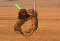 Animals With Lightsabers Image 3