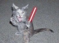 Animals With Lightsabers Image 4