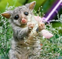 Animals With Lightsabers Image 8