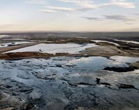 Oil Landscape Talks Image 3