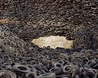 Oil Landscape Talks Image 7