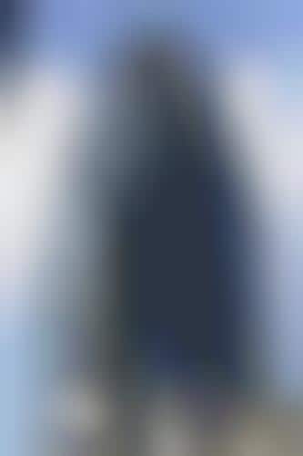 Biomimetic Architecture