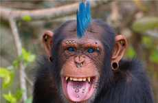 Punk Animal Photoshopping