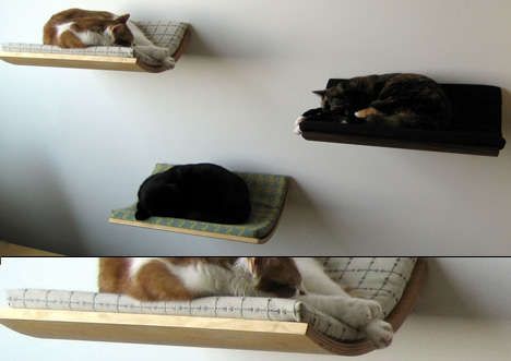 Slumbering Pet Shelves: Curve Pet Beds are a Stylish Sleep Haven For ...