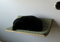 Slumbering Pet Shelves Image 3