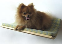 Slumbering Pet Shelves Image 5