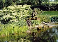 Personal Swimming Ponds Image 2