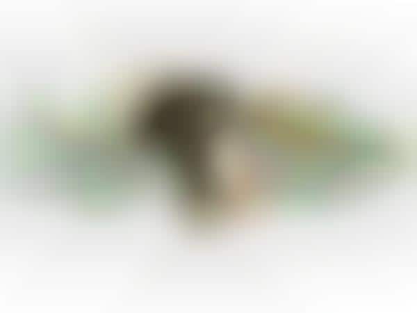 Socially Aware Business Models