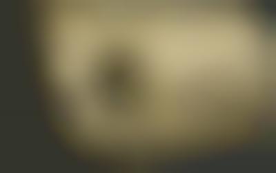 Unusual Parade Floats