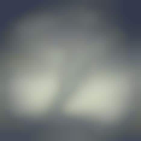 Sombre Nature Photography