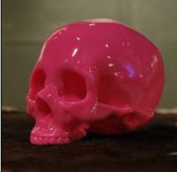 Fuchsia Skulls