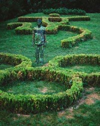 Chameleon Man Art Image 4