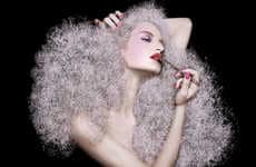 Big Hairtography