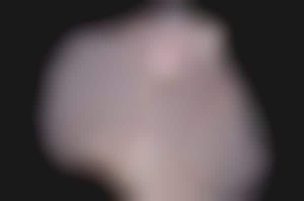 Big Hairtography