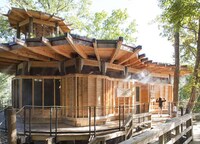 Treetop Playgrounds Image 3