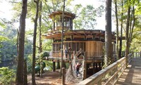 Treetop Playgrounds Image 4