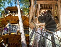 Treetop Playgrounds Image 5