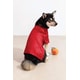Festive Pet Apparel Drops Image 2