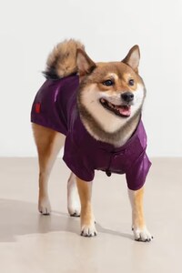 Festive Pet Apparel Drops Image 4