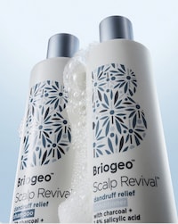 Dandruff Relief Haircare Systems