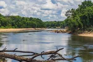 Carbon Credit Initiatives Article Thubnail