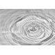 Water-Based Fragrance Technologies Image 1