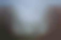 Strategically Proportioned Residential Buildings Image 1