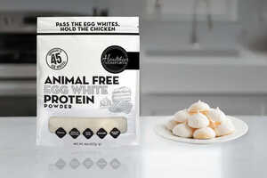 Precision Fermentation Protein Powders: Animal-Free Egg White Protein ...