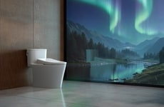 One-Piece Bidet Toilets