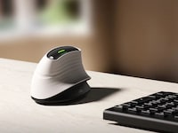 Sculpted Multitasking Mouse Designs Image 2