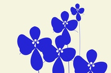 Creative Floral Tools