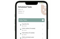 Domestic Task Managers