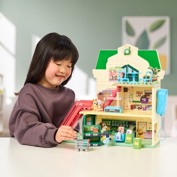 Award-Winning Supermarket Playsets