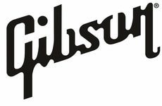 Expanding Guitar Brands