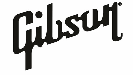 Expanding Guitar Brands
