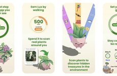 Gamified Step Tracking