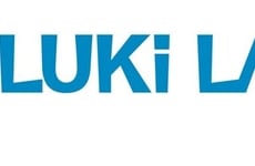 Screen-Free Toy Collections