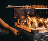 Smokeless Fire Pit Grills Image 3