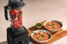 Beginner-Friendly Professional Blenders