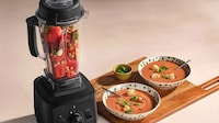 Beginner-Friendly Professional Blenders