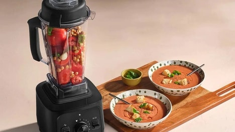Beginner-Friendly Professional Blenders