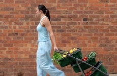 Personal Shopping Carts