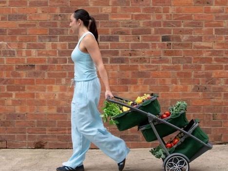 Personal Shopping Carts