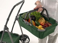 Personal Shopping Carts Image 2
